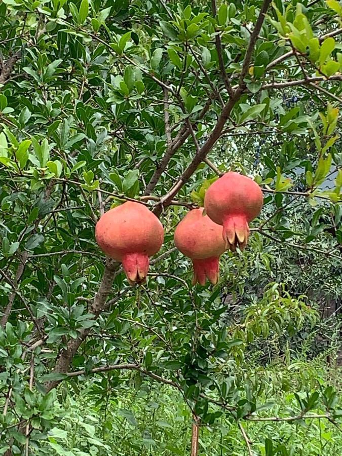 Ekas Rosengarten Gori Ngoại thất bức ảnh