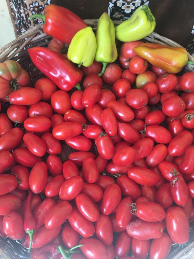 Ekas Rosengarten Gori Ngoại thất bức ảnh