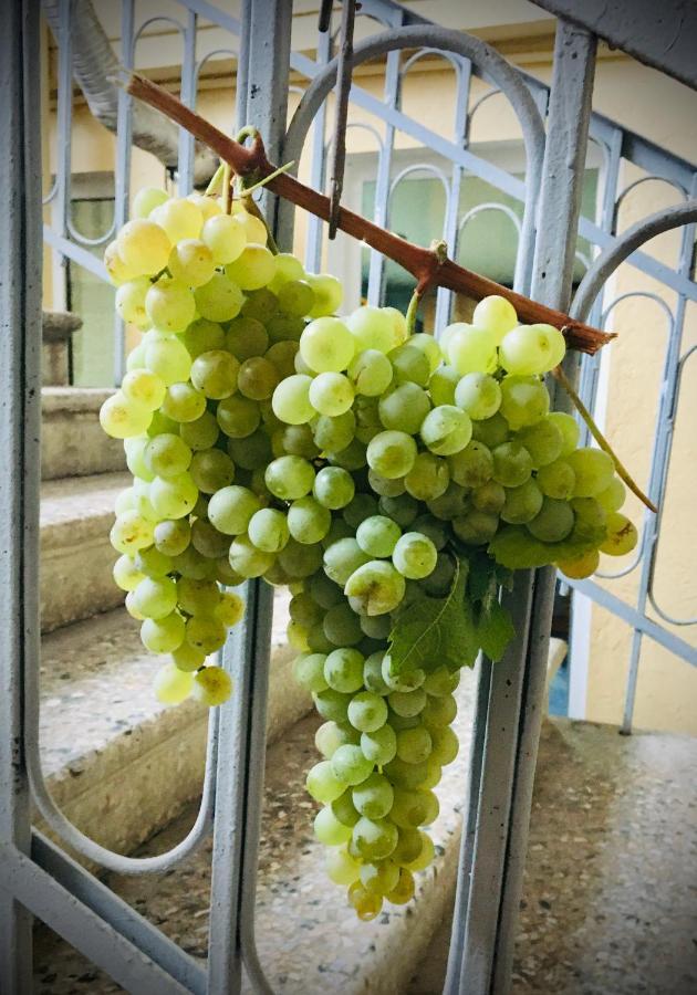 Ekas Rosengarten Gori Ngoại thất bức ảnh