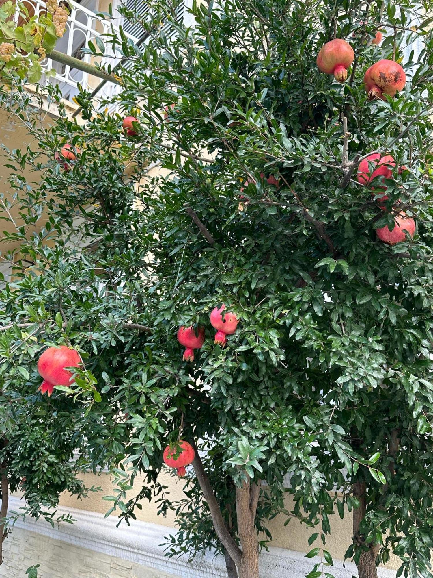 Ekas Rosengarten Gori Ngoại thất bức ảnh